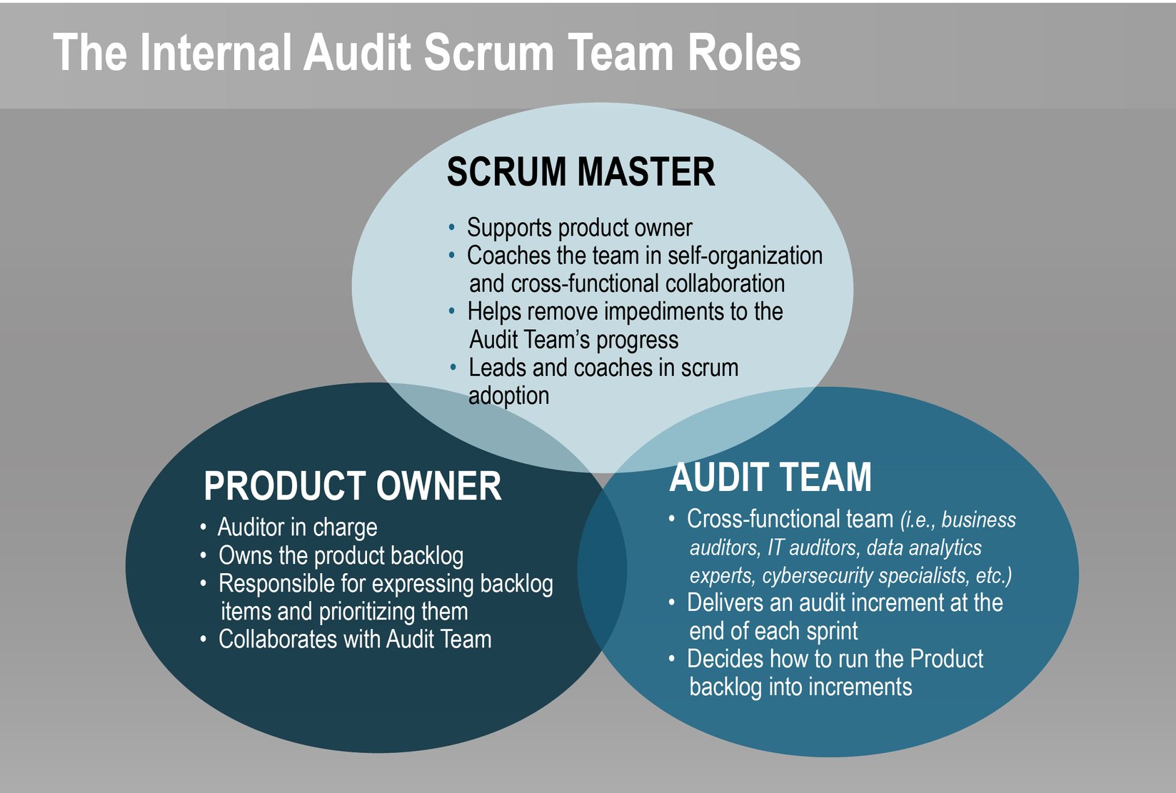 Understanding The Agile Audit 